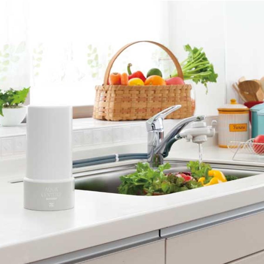 ゼンケン アクアセンチュリースマート 据置型 【PFOS/PFOA除去】 JIS