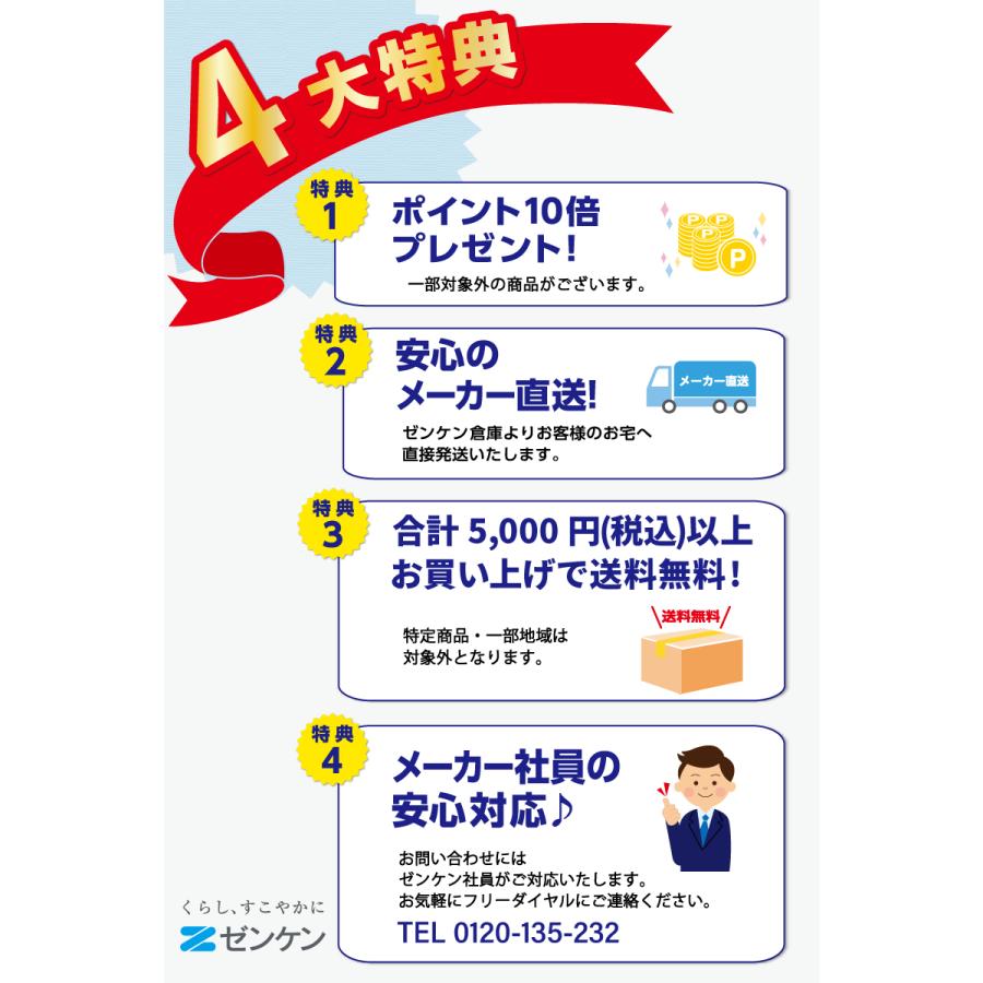 ゼンケン 【電磁波99%カット】 電気ホットカーペット1畳用カバー付き(S
