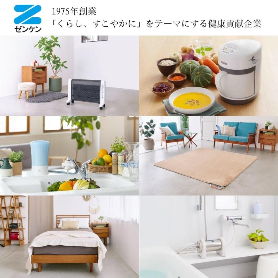 ゼンケン ステンレスフライパン ミラーパン 20cm 日本製 PFASフリー