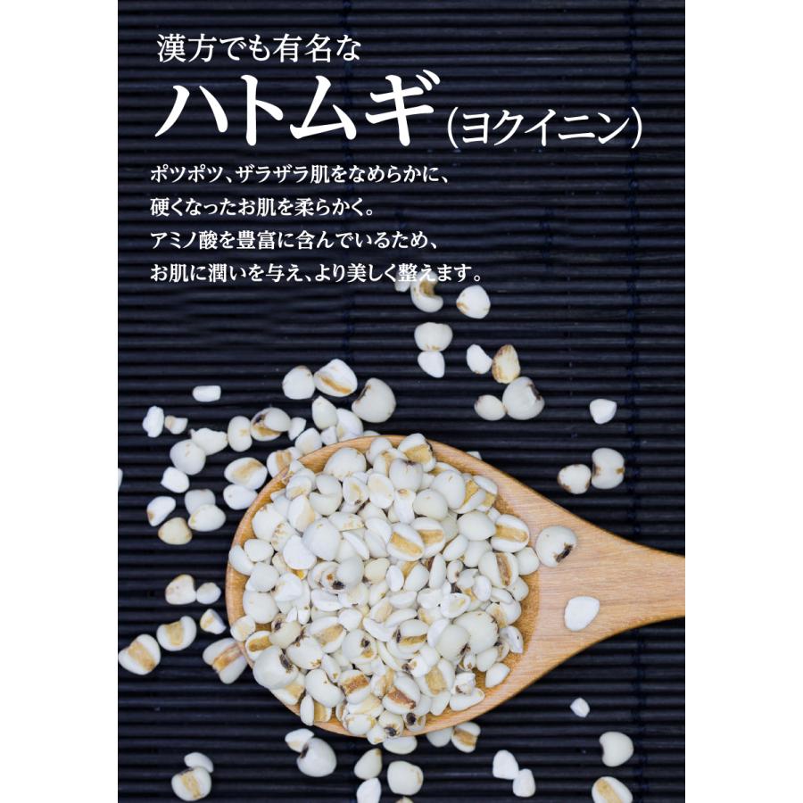 モーニング娘。のポカポカイロ　新品未使用 SHOGUN 将軍」で脚光、穂志もえかがドクターシーラボの