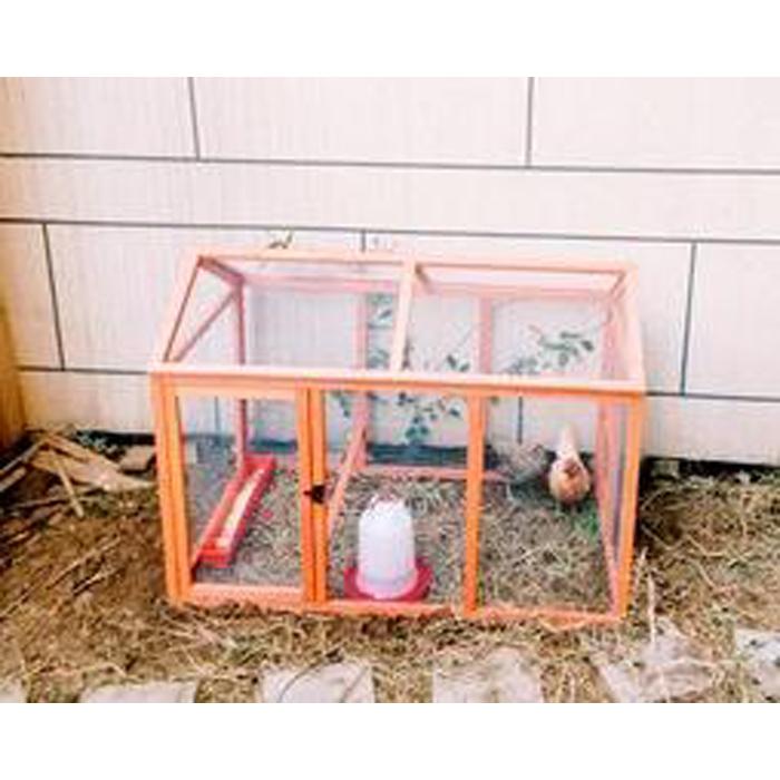 大人の上質 犬屋 ペット ニワトリかご トリ小屋 鳥かご 逃げ出防止 大型サイズ 養殖 飼育 室内外 あひる小屋 ステンレス製網 Qdtek Vn