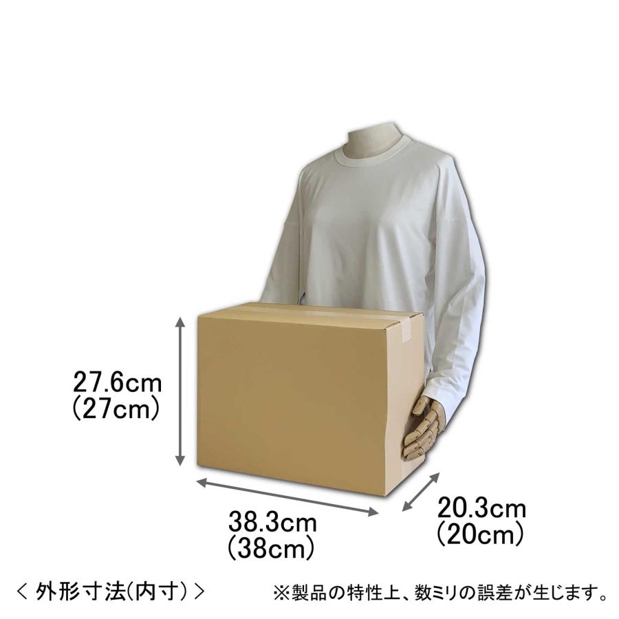 紙製ダンボール マンガl ４０冊用 段ボール 箱 100サイズ 収納 工作 購入 3 06 004 Villagebox 通販 Yahoo ショッピング