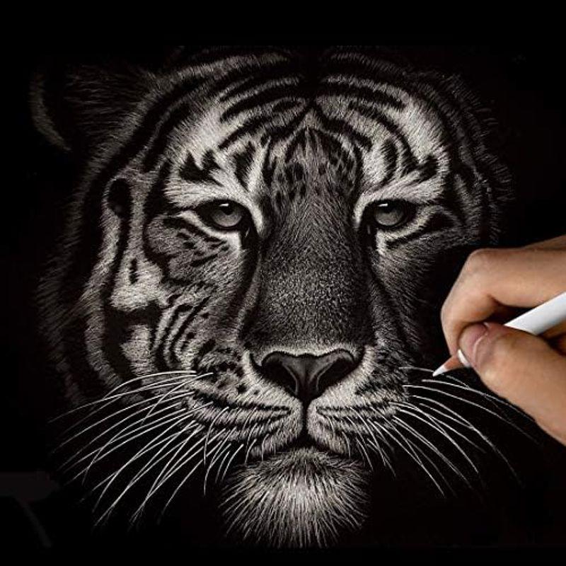 MODOLATA ホワイトチャコール鉛筆 アーティスト用 ホワイト