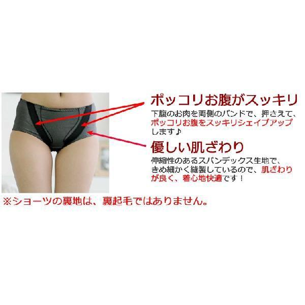 補正下着 セパレーツ 補整下着  裏起毛 キャミソール ショーツ 上下セット |  | 04