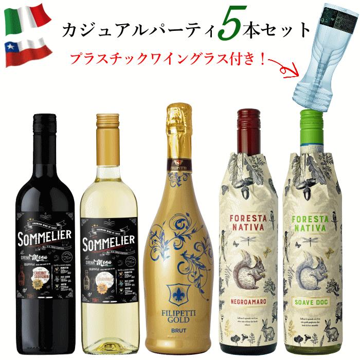 ワイン セット 割れない グラス付 カジュアルパーティ アウトドア 5本