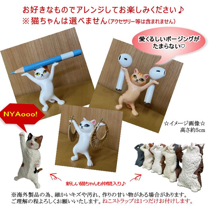 猫 ワインセット 4本 ドイツ ワイン 白 送料無料 飲み比べ 甘口