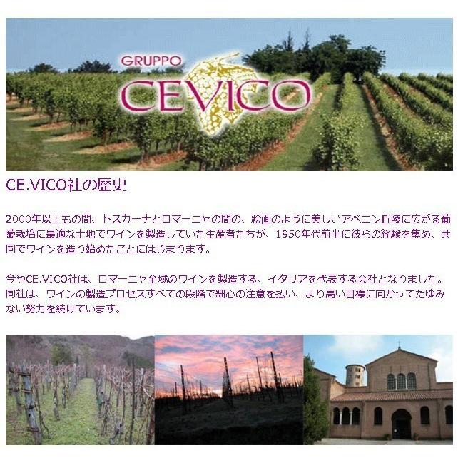 チェヴィコ ブルーサ ロッソ ワイン 赤 イタリア 【YDKG-tk】｜vinoaquavitae｜02