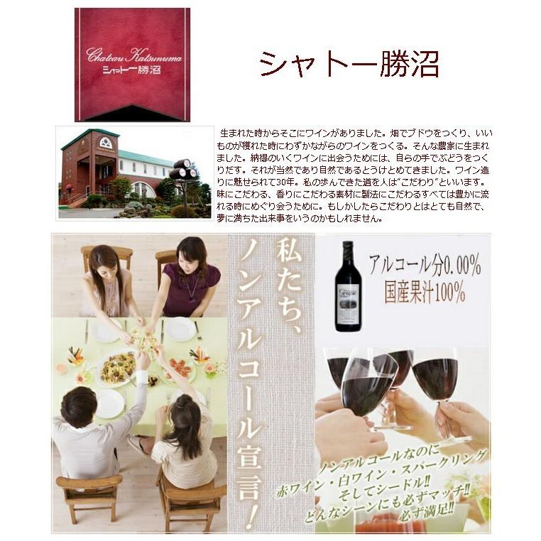 ノンアルコールワイン シャトー勝沼 カツヌマ・グレープ 360ml 白 Katsunuma Grape WHITE|vinoaquavitae|02