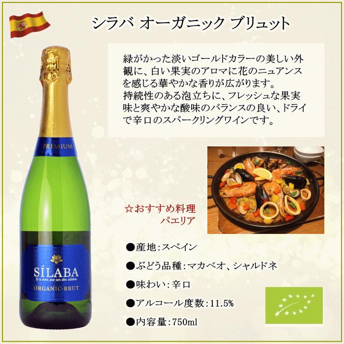 ワイン　まとめ売り　5本セット　フランス　イタリア　スペイン　オーストラリア 送料無料】端数在庫一掃☆イタリアワイン9本セット!! | ワインセット