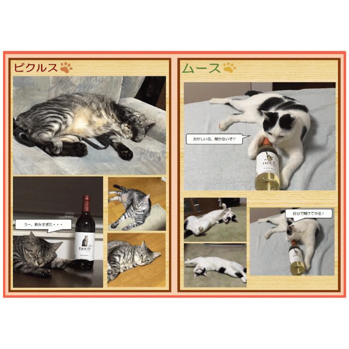 ねこストラッププレゼント♪アルプス neco ワイン 国産 赤白 2本セット