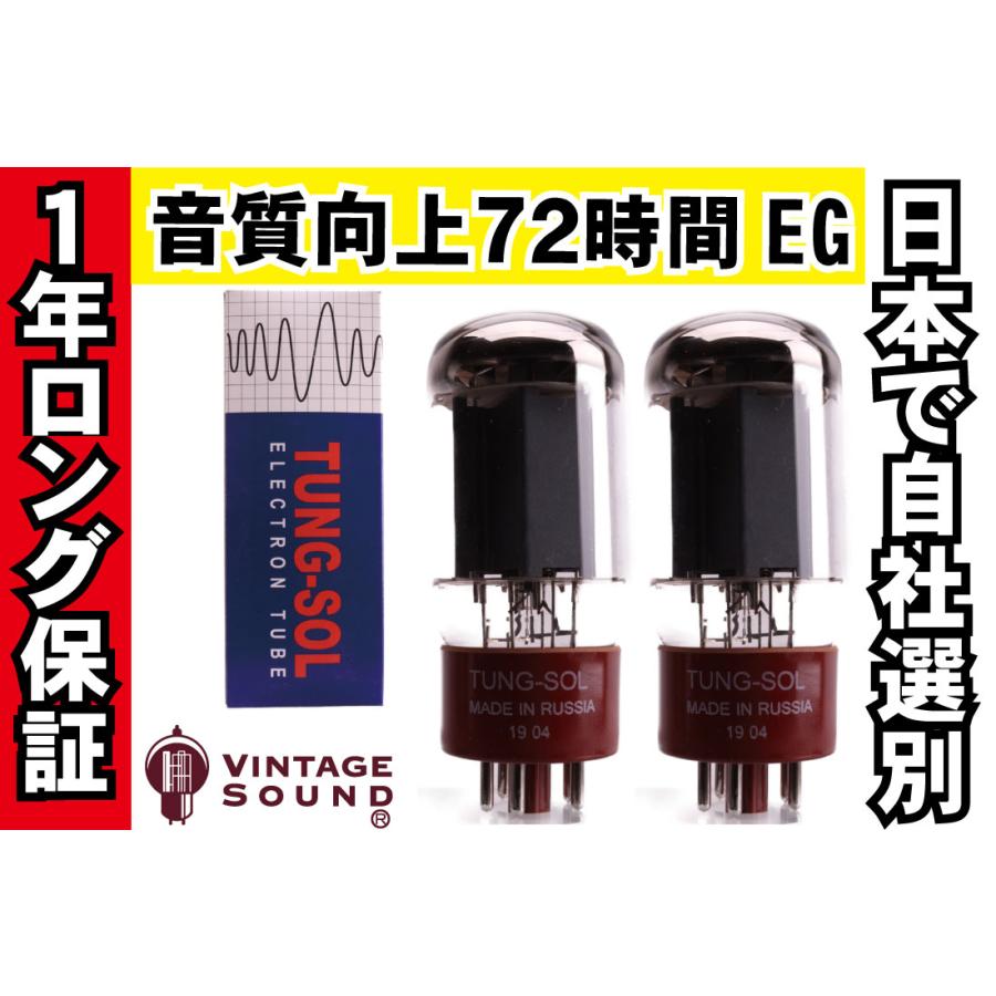 5881 TUNG-SOL タングソル 2本マッチ 真空管PX29 【１年ロング保証】【音質向上72時間EG】