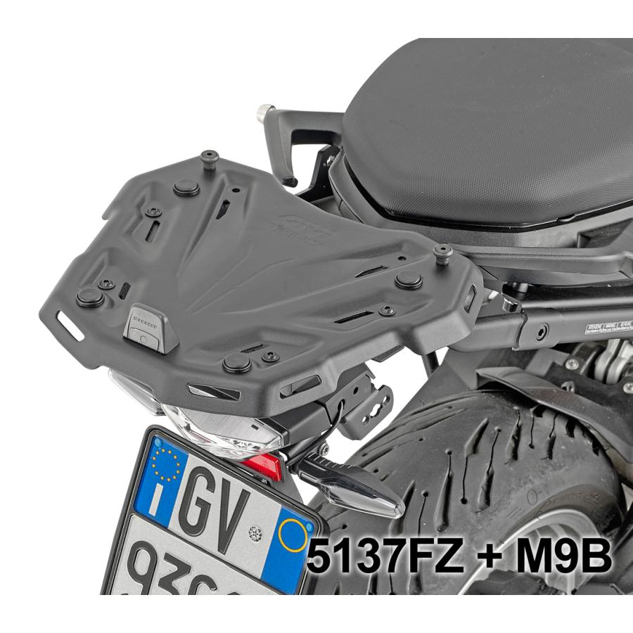 GIVI バイク トップケース モノキー用 リアラック BMW F 900 R GIVI バイク トップケース モノキー用 リアラック BMW F 900 R