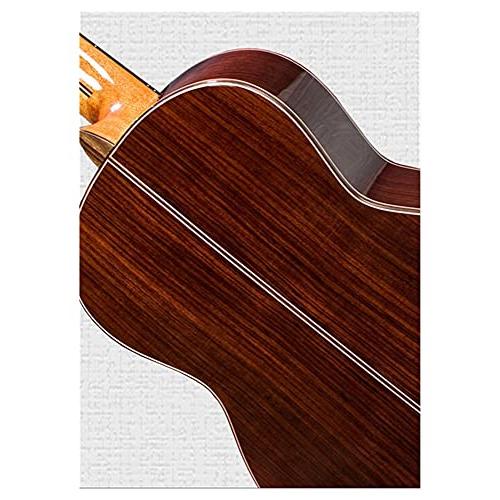 人気の春夏 CJWSLYT Guitar Real Wood Classical Acoustic Guitar Nylon Strings All Solid Wood Classical Guitar 39 Inches Guitare Electric Guitar (サイズ:39イン