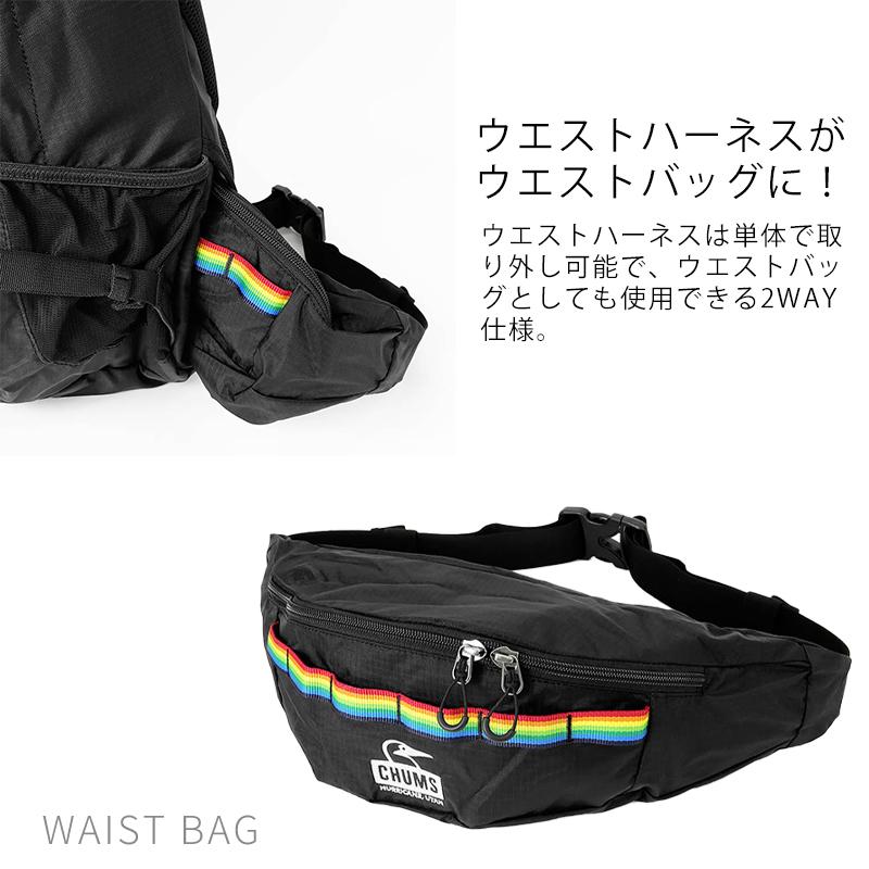 CHUMS（チャムス） バックパック Spring Dale 2way レインカバー付