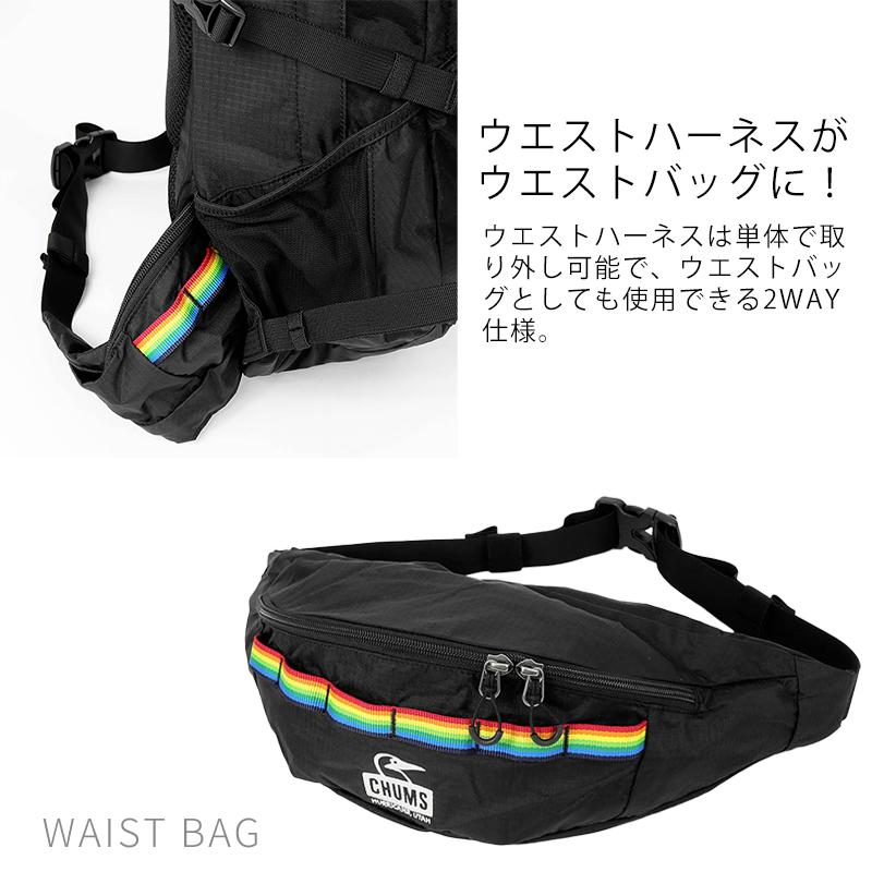 CHUMS（チャムス） バックパック Spring Dale 2way レインカバー付