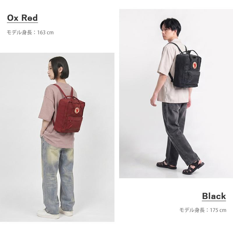 Fjallraven Kanken 国内正規品 フェールラーベン FJALL RAVEN バック