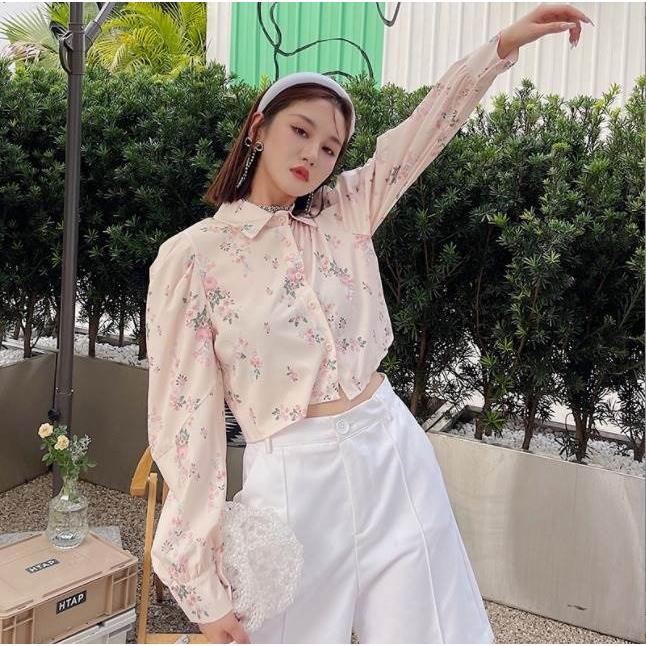 トップス レディース 女性用 長袖 ショート丈 ミニ丈 ストレート シャツ ポロシャツ ブラウス 襟あり 前ボタン 大人可愛い フォーマル カジュアル |  | 08