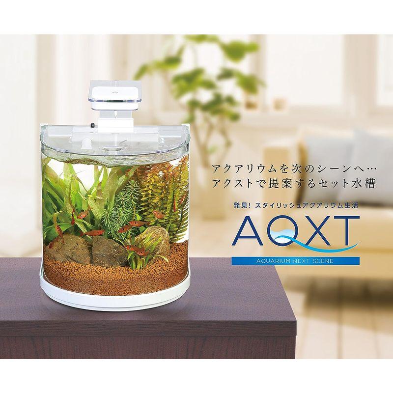 寿工芸 アクスト ラウンド25 アクスト ラウンド25