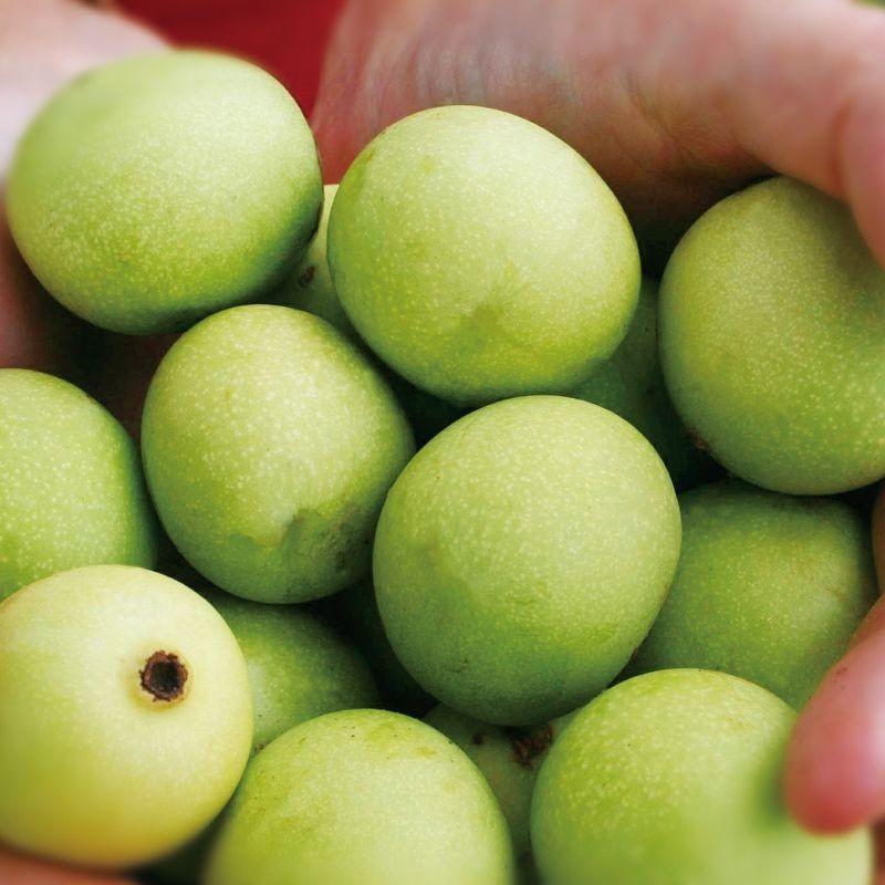 マルラブレンドオイル／ビタミンC誘導体配合／やさしい天然精油の香り／防腐剤、着色料無添加の美容オイル／18ml（約60日分） |  | 02