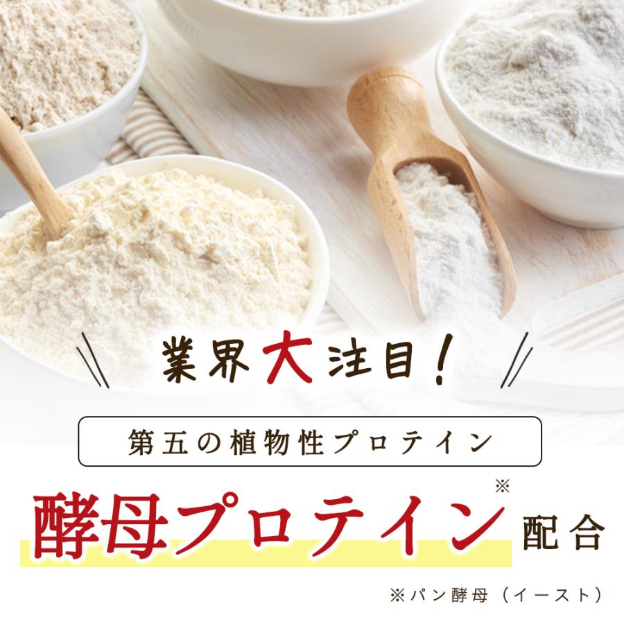 Sale 81 Off プロテイン 女性 450g 武内製薬 ザプロbeauty ホエイ 酵母 カゼイン ビタミン ミネラル 豊富 美味しい 高タンパク 低カロリー カフェラテ ストロベリー Cisama Sc Gov Br
