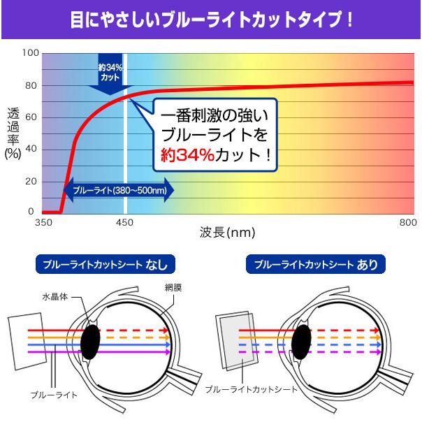 4インチ(16:9) 汎用サイズ OverLay Eye Protector 低反射 ブルーライトカット 映り込みを抑える 保護フィルム(89x50mm)｜visavis｜04