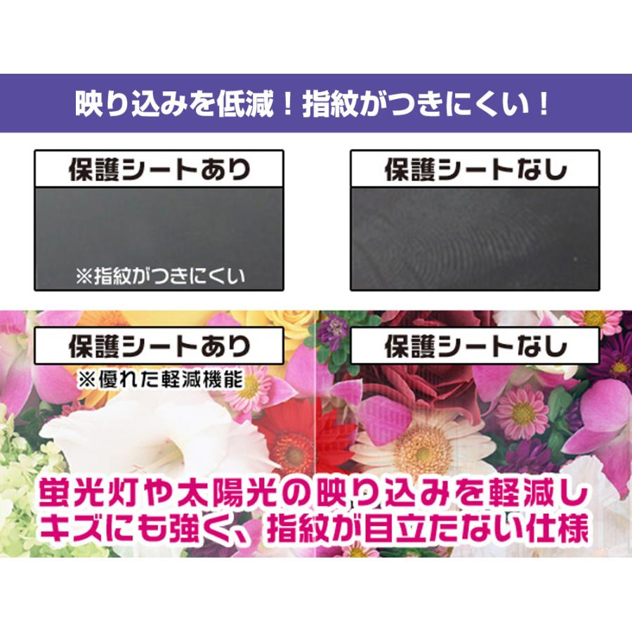 ポメラ デジタルメモ DM250 DM200 保護 フィルム OverLay Secret for