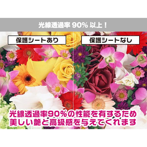 GolfBuddy aim W12 保護 フィルム OverLay 抗菌 Brilliant for ゴルフバディー aim W12 ゴルフウォッチ Hydro Ag+ 抗菌 抗ウイルス 高光沢 爆買 |  | 05
