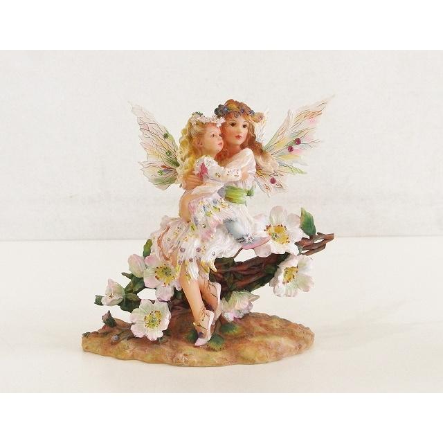 Christine Haworthクリスティン ハワース フェアリーズ オブ ホワイトローズ Ok Visionヤフーショッピング店 通販 Yahoo ショッピング