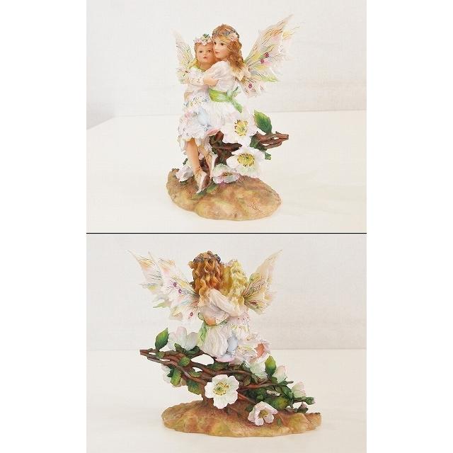 Christine Haworthクリスティン ハワース フェアリーズ オブ ホワイトローズ Ok Visionヤフーショッピング店 通販 Yahoo ショッピング