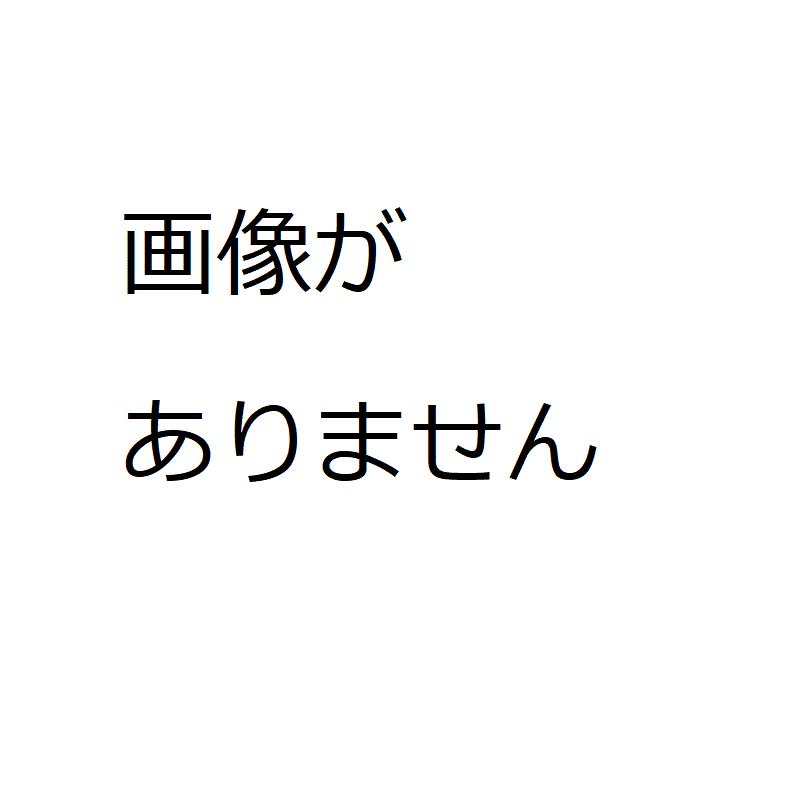 TOMIX JC6379 自連形TNカプラー（黒）