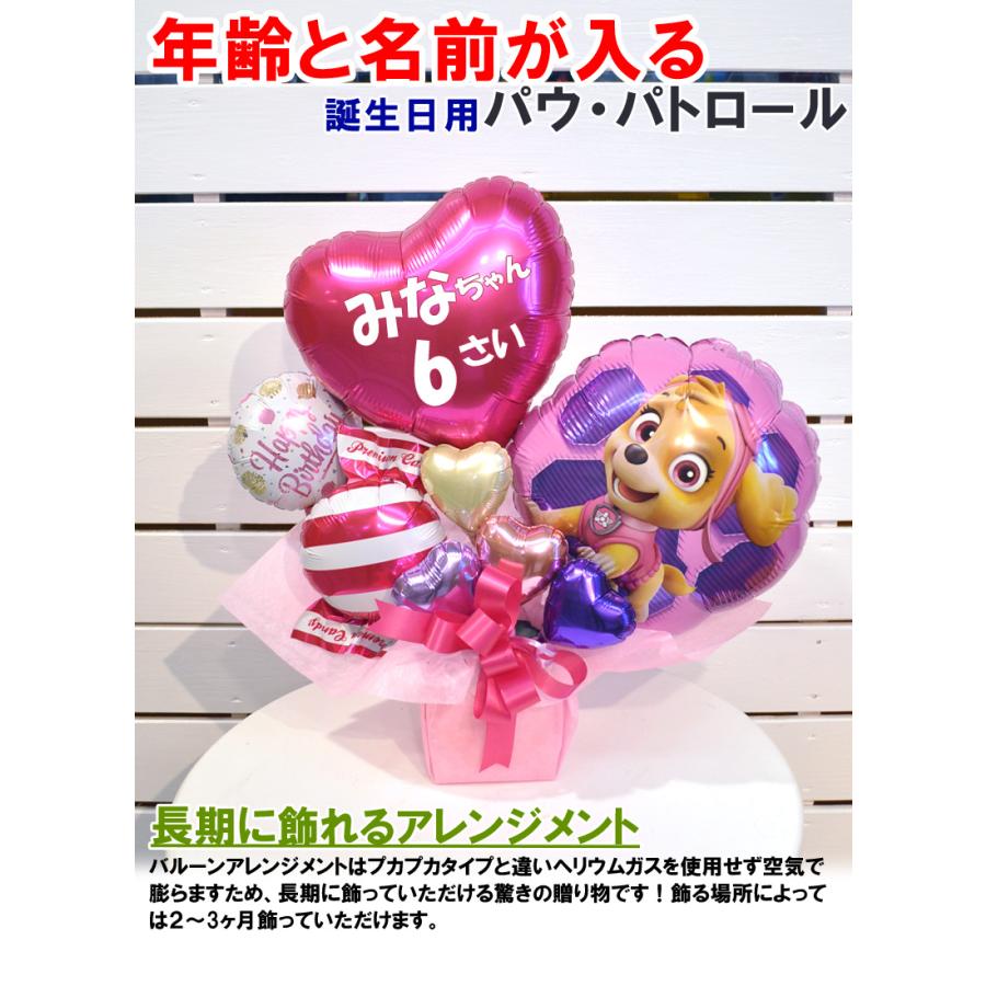 女の子用 名前と年齢が入れられる誕生日プレゼント パウ パトロールスカイ バルーンギフト Pawpatrol01 風船のお店ビタミンバルーン 通販 Yahoo ショッピング