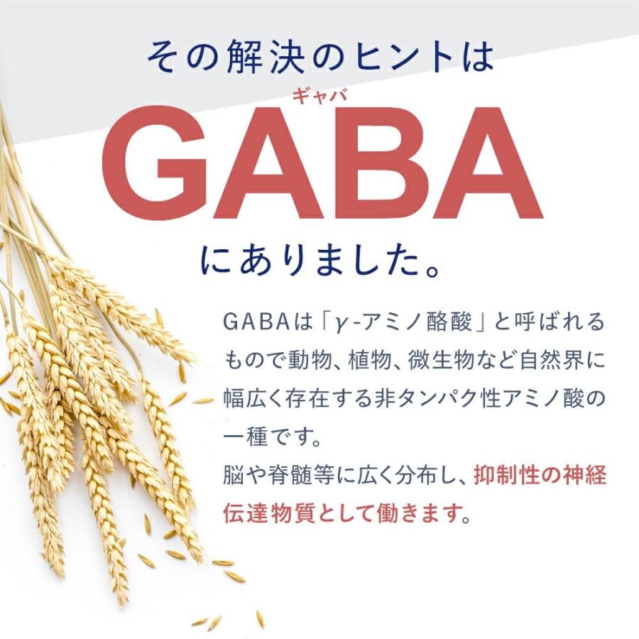 VitabridC 機能性表示食品ビタブリッド デイリー GABA 2袋 睡眠