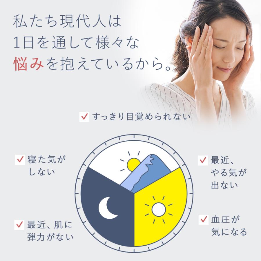 【機能性表示食品】ビタブリッド デイリー GABA 睡眠 サプリメント 30日分（30粒×2袋）日本製 [GABA 100mg 配合]｜vitabridjapan｜09