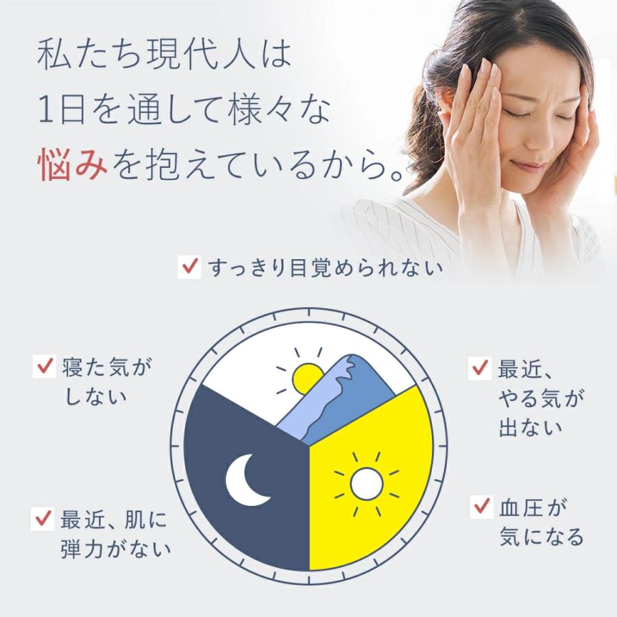 VitabridC 機能性表示食品ビタブリッド デイリー GABA 4袋 睡眠