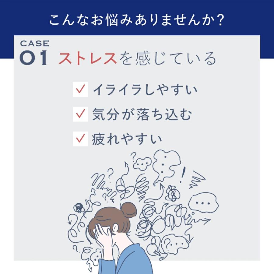 VitabridC 機能性表示食品ビタブリッド デイリー GABA 4袋 睡眠