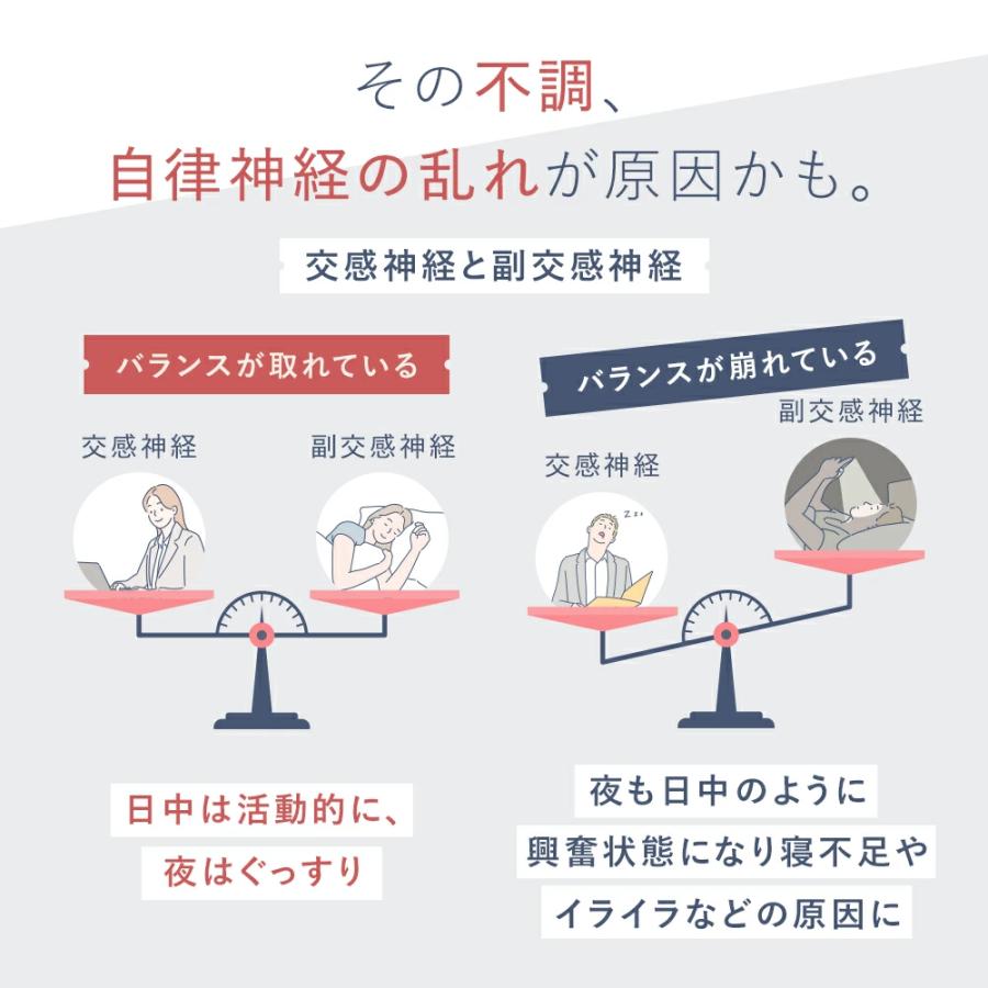 VitabridC 機能性表示食品ビタブリッド デイリー GABA 4袋 睡眠