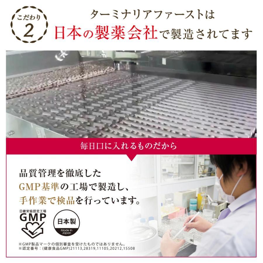 VitabridC ターミナリアファースト お試し 約14回分しがみついた お腹