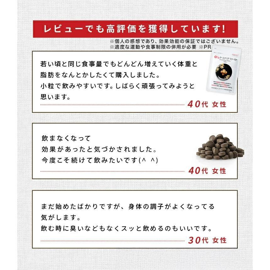 VitabridC ターミナリアファースト お試し 約14回分しがみついた お腹