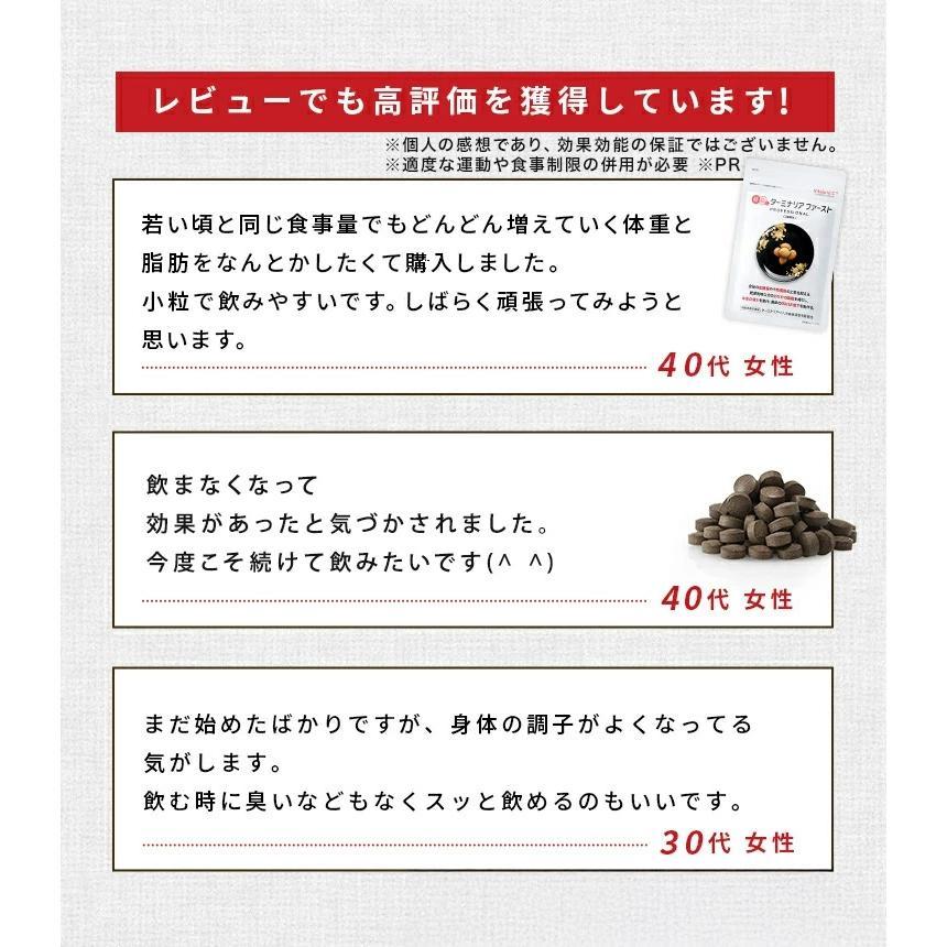 VitabridC ターミナリアファースト お試し 約14回分しがみついた お腹