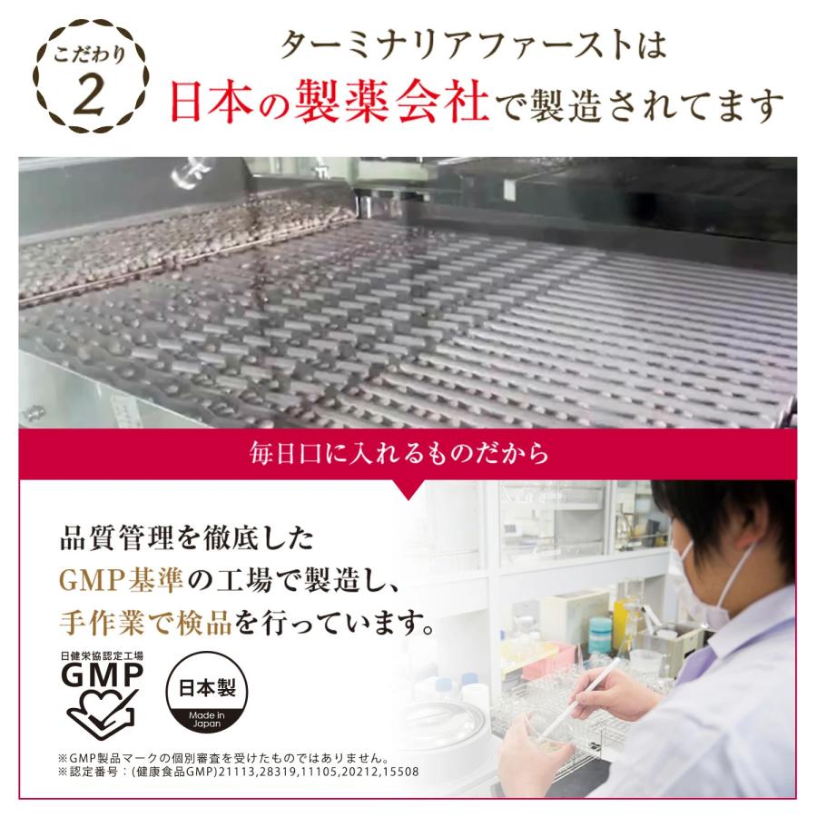 VitabridC ターミナリアファースト お試し 約14回分しがみついた お腹