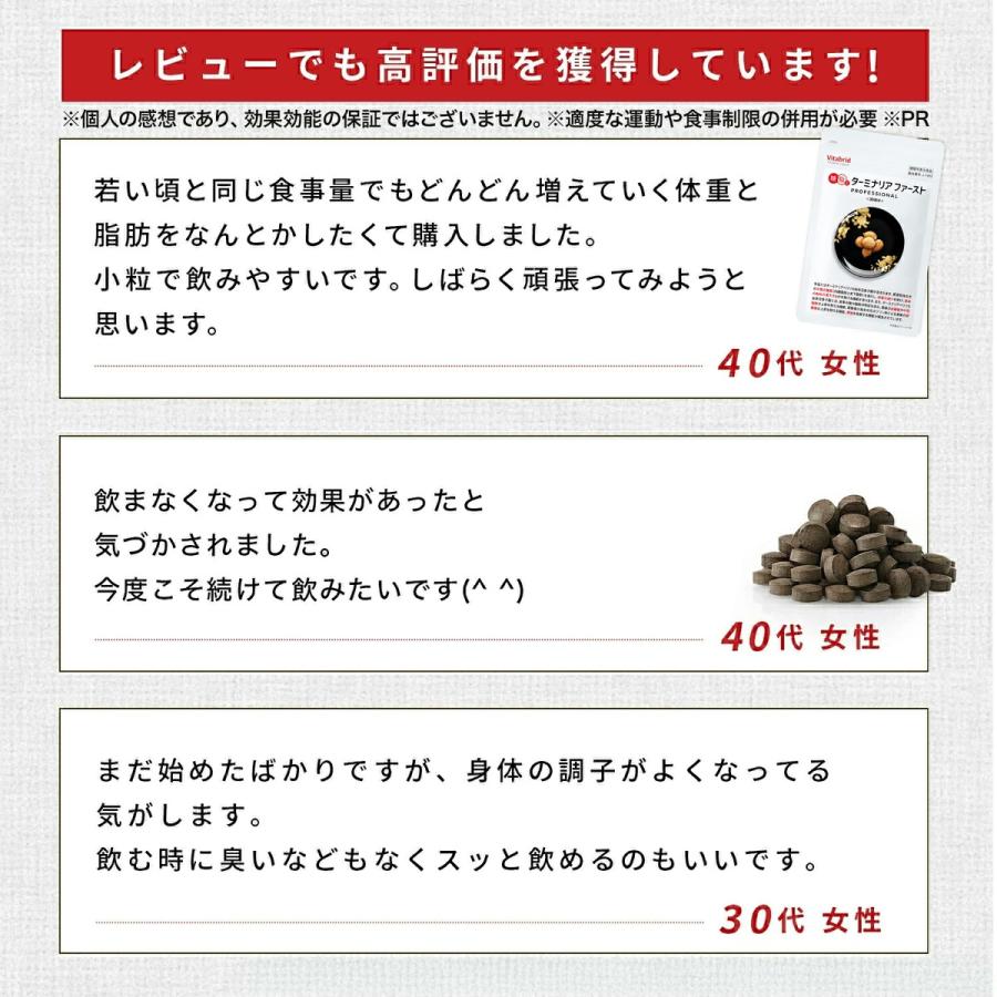 VitabridC 公式 ターミナリアファースト（グルメサプリ）2袋 血糖値 中