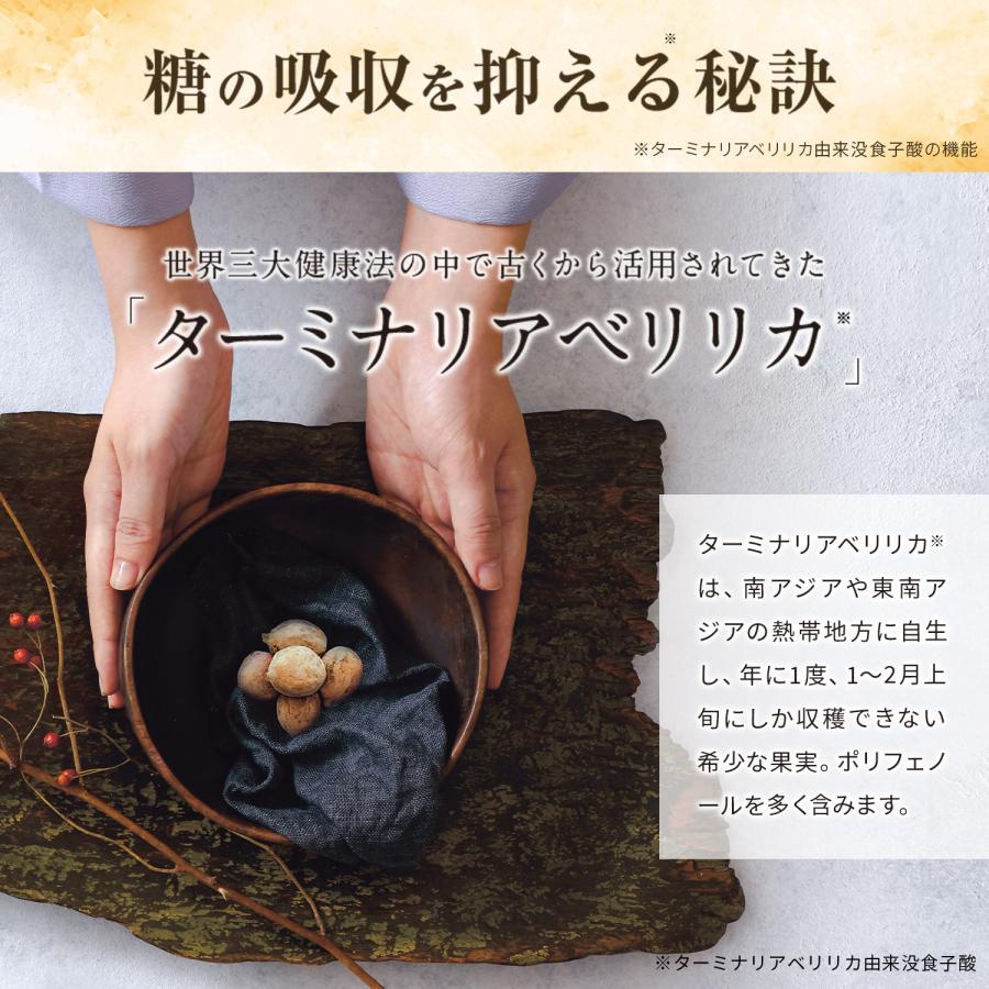 VitabridC 【5%OFFクーポン】公式 ターミナリアファースト VitabridC 【5%OFFクーポン】公式 ターミナリアファースト