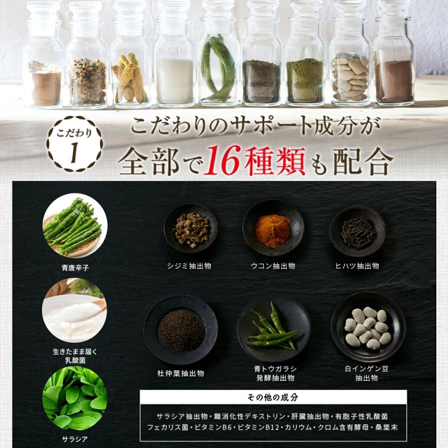 VitabridC 公式 ターミナリアファースト（グルメサプリ）2袋 血糖値 中
