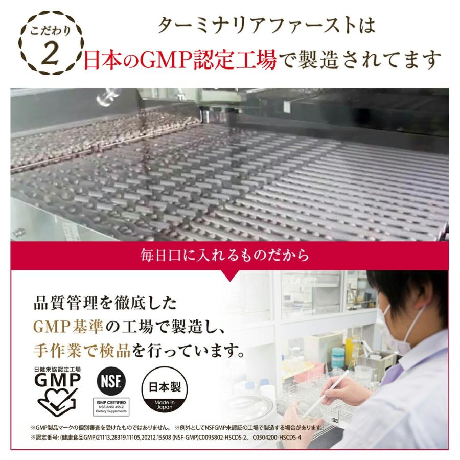 VitabridC 公式 ターミナリアファースト（グルメサプリ）2袋 血糖値 中