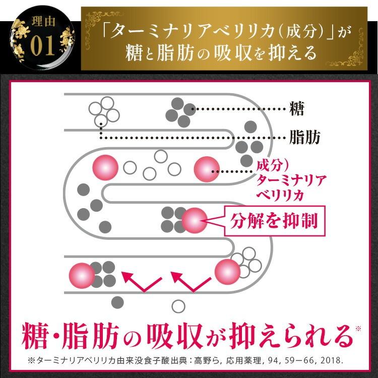 VitabridC 公式 ターミナリアファースト（グルメサプリ）3袋 血糖値 中