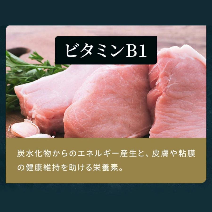 VitabridC 公式 ザ パーフェクトルーティン（国内製造）2袋 サプリ