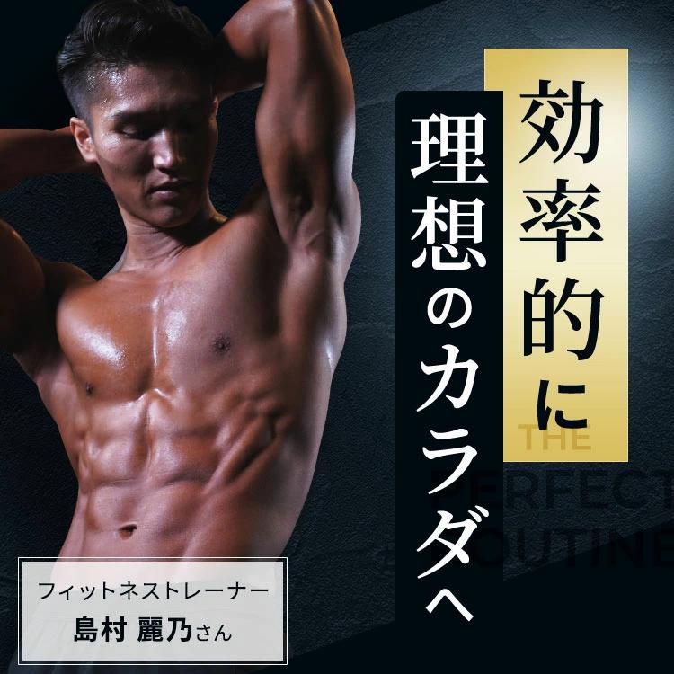 ザ パーフェクトルーティン×2袋 VitabridC 公式 ザ パーフェクトルーティン（国内製造）2袋 サプリ
