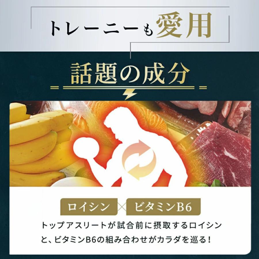 VitabridC 公式 ザ パーフェクトルーティン（国内製造）2袋 サプリ