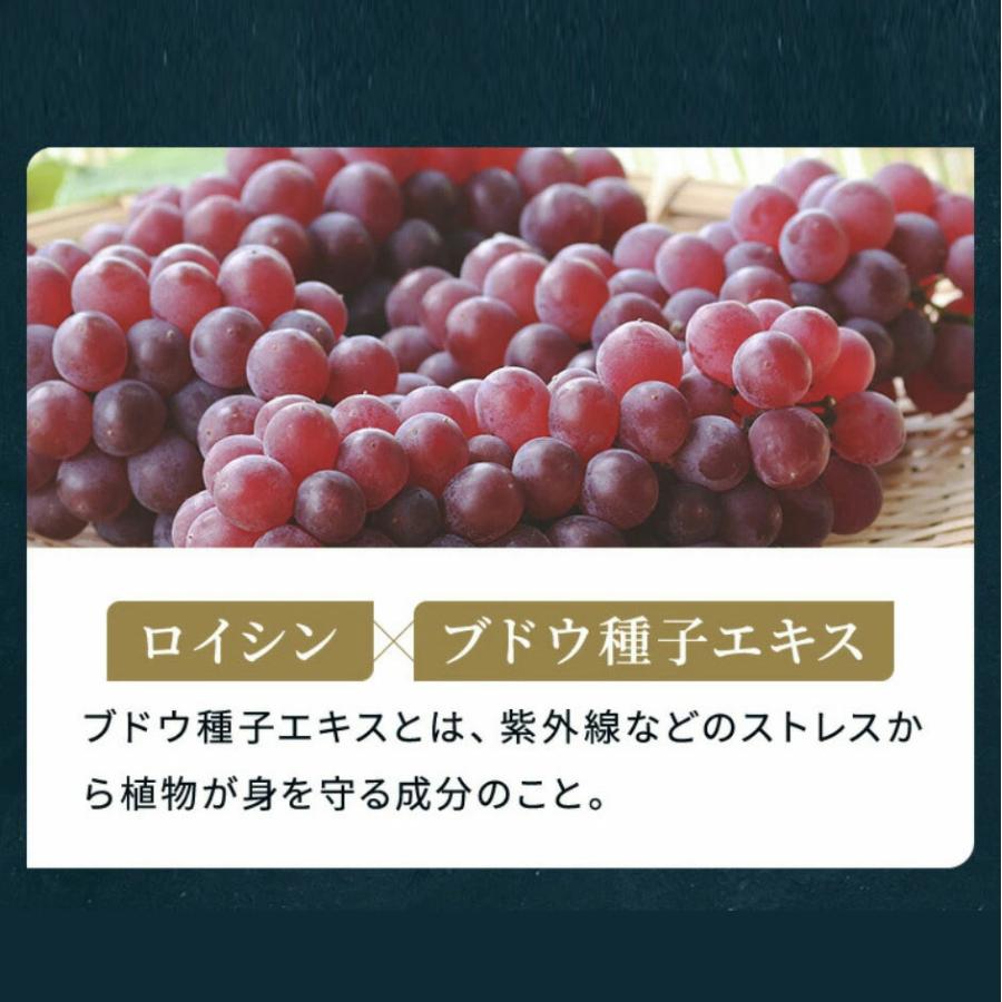 VitabridC 公式 ザ パーフェクトルーティン（国内製造）2袋 サプリ