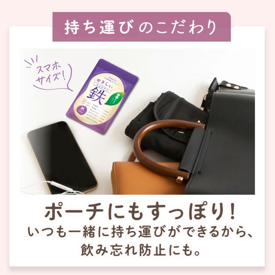 フェリチン鉄 サプリメント ビタブリッドジャパン やさしい 鉄サプリ